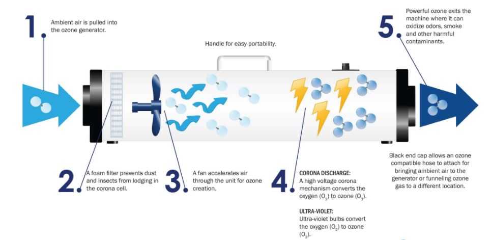 Ozone Generator 12V 5g/h Air Purifier O3